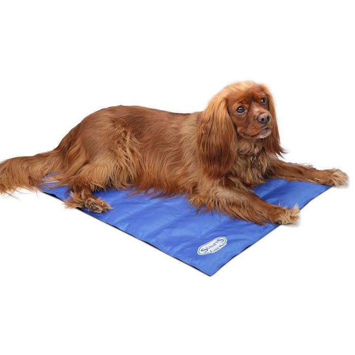 Scruffs Cool Mat - Medium (77x62cm)