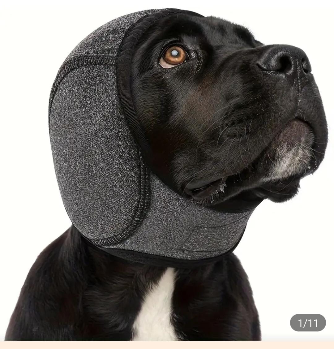 Dog Ear Muffs with Noise Reduction And Shock Absorption (Medium)