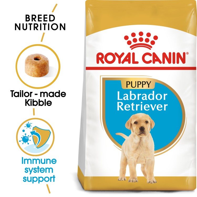 Royal Canin Breed Health Nutrition Labrador Puppy Dry Dog food