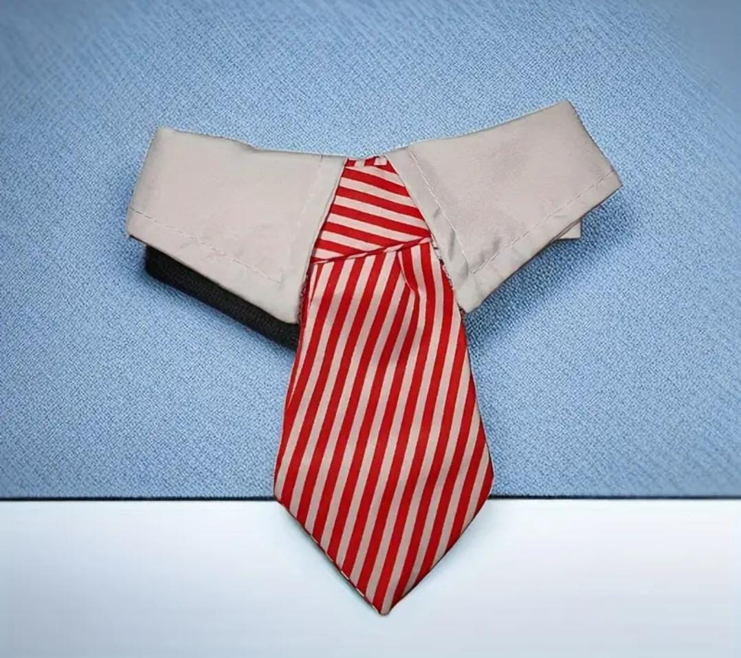 Adjustable Cat & Small Dog Tie