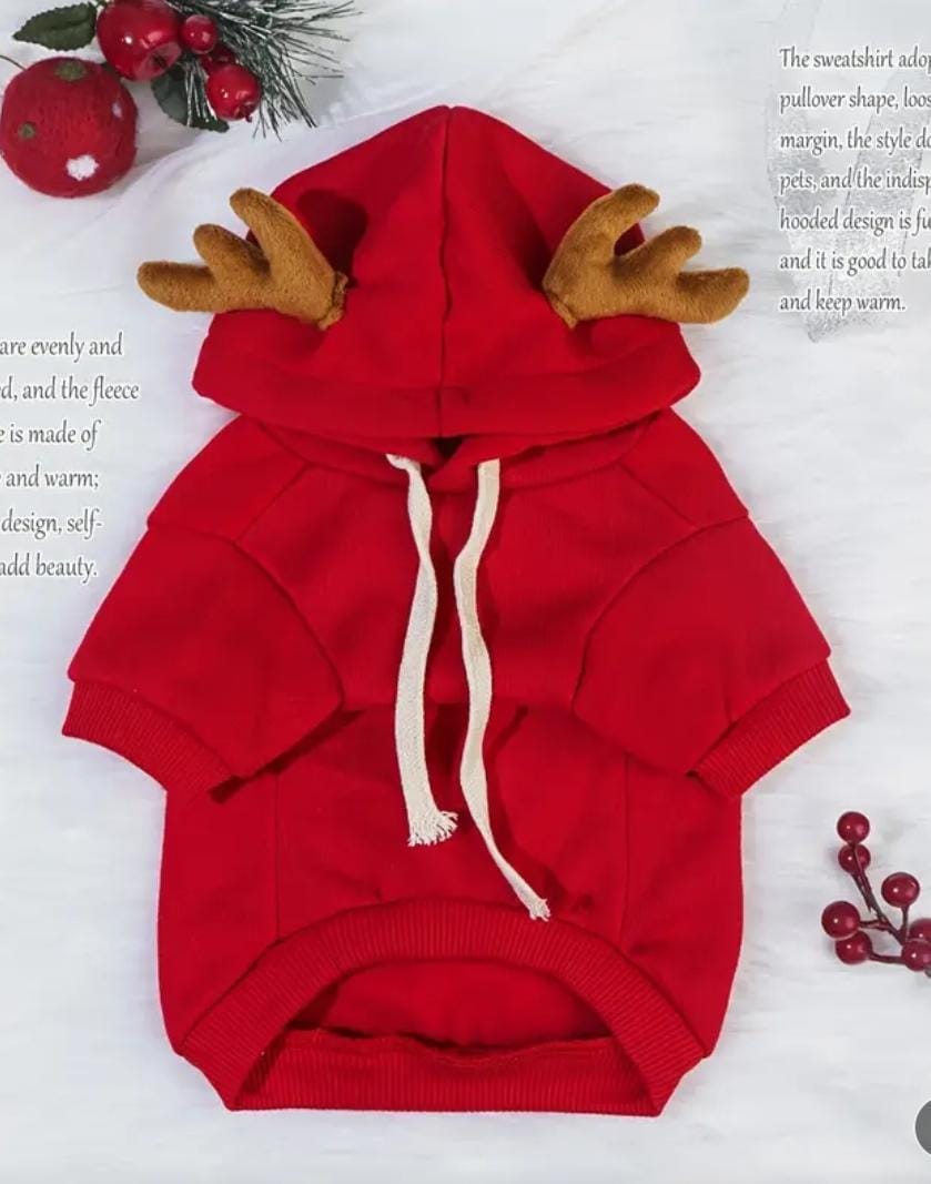 Frog-Themed Fleece-Lined Dog Hoodie