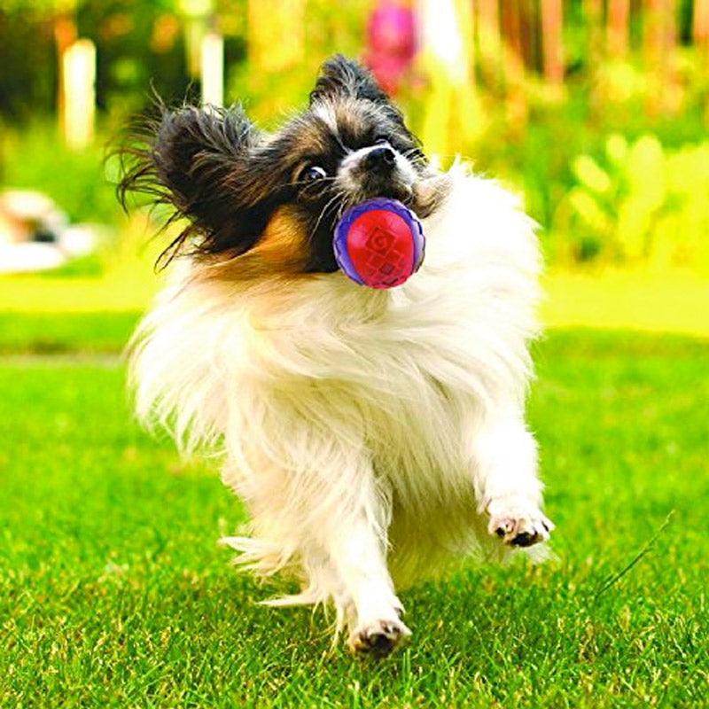 Gigwi G-Ball Purple/Blue Squeaker Transparent - Medium