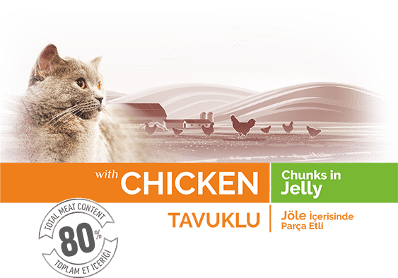BonaCibo Chicken chunks in Jelly Sterilised Adult Wet Cat Food