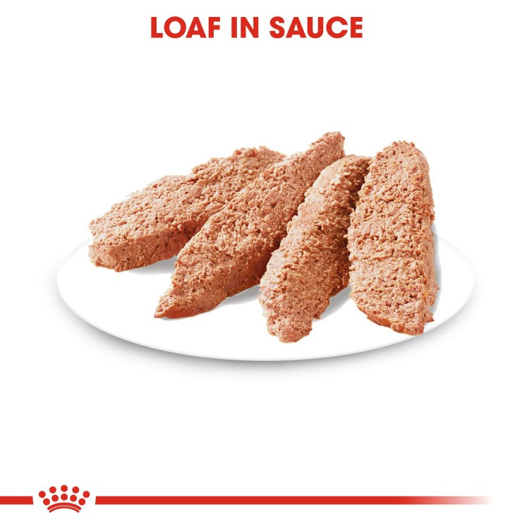 Royal Canin Care Nutrition Light Weight Care (WET Dog FOOD - Pouches)