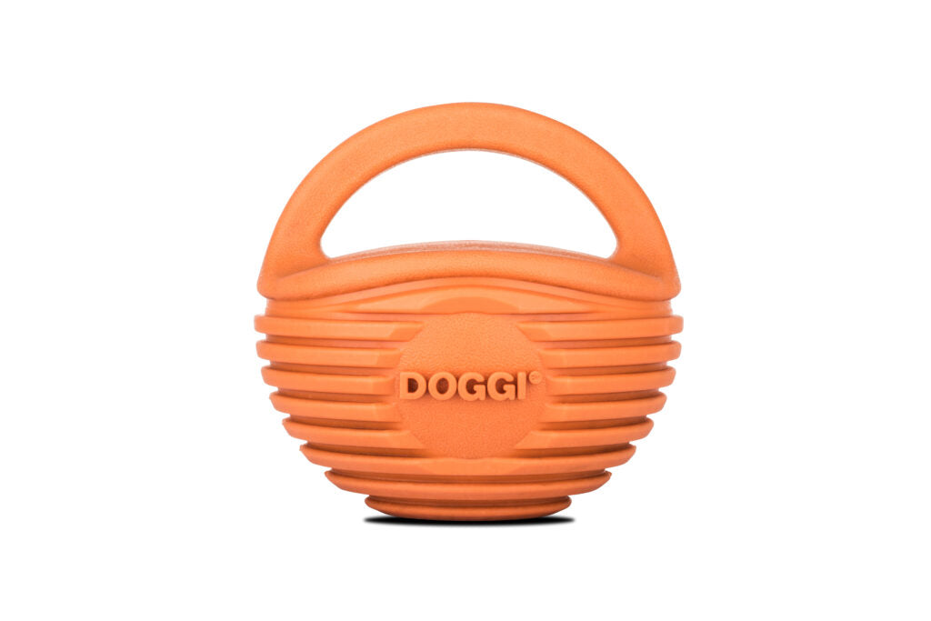 Doggi Medium Ball Catch and Carry