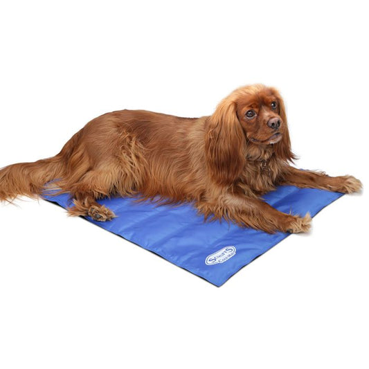 Scruffs Cool Mat - Medium (77x62cm)