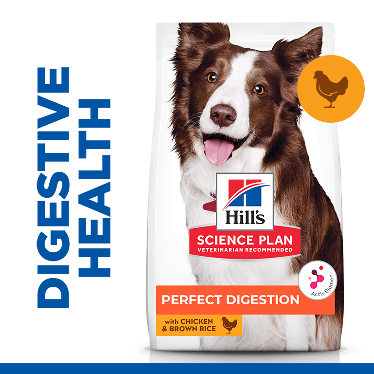 Hills Science Plan Perfect Digestion Medium Adult Dry Dog Food With Chicken & Brownn