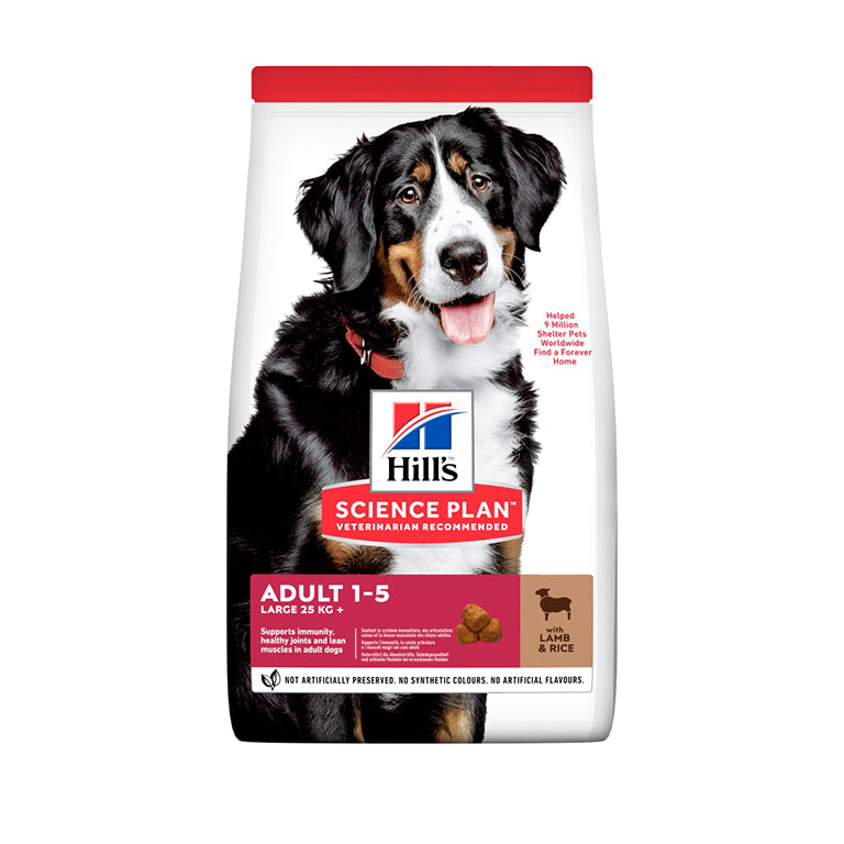 Hills Science Plan Large Breed Adult With Lamb & Rice Dog Food Dry