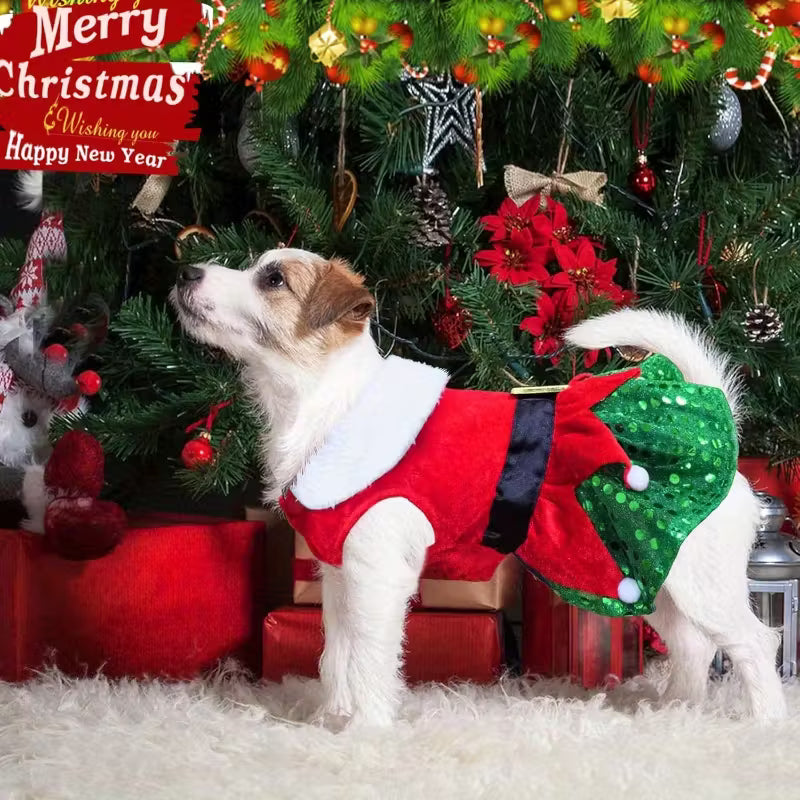 Festive Pet Holiday Dress