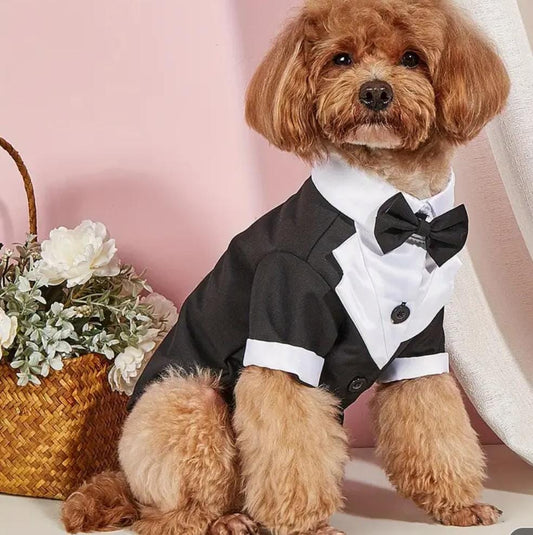 Elegant Black & White Pet Tuxedo with Bow Tie (Medium)