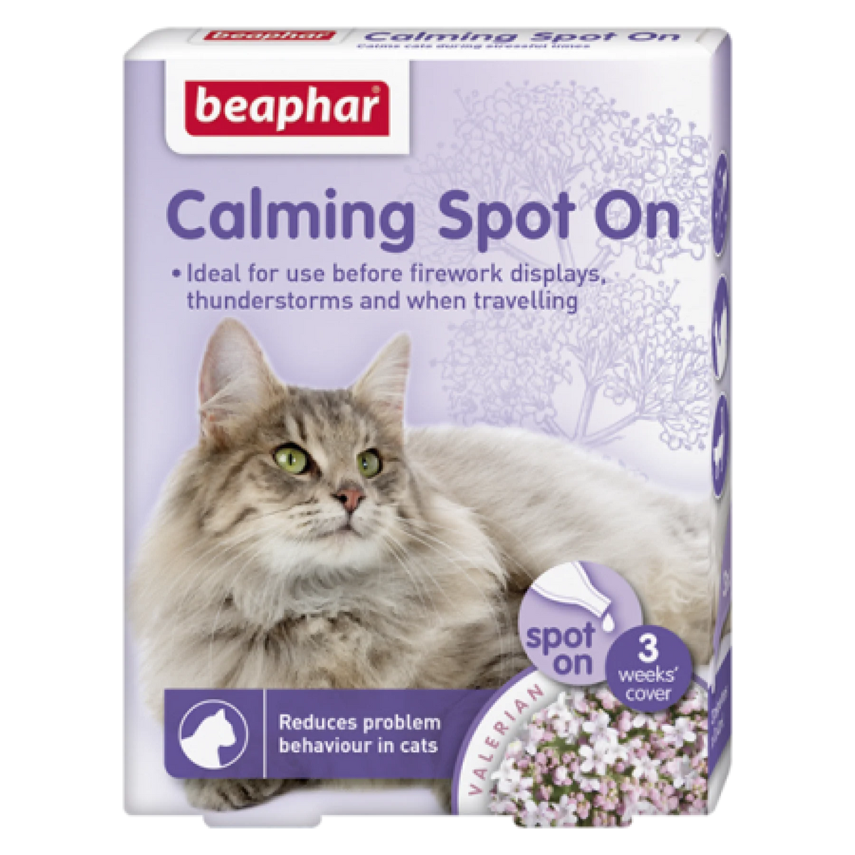 Calming Spot On Cat