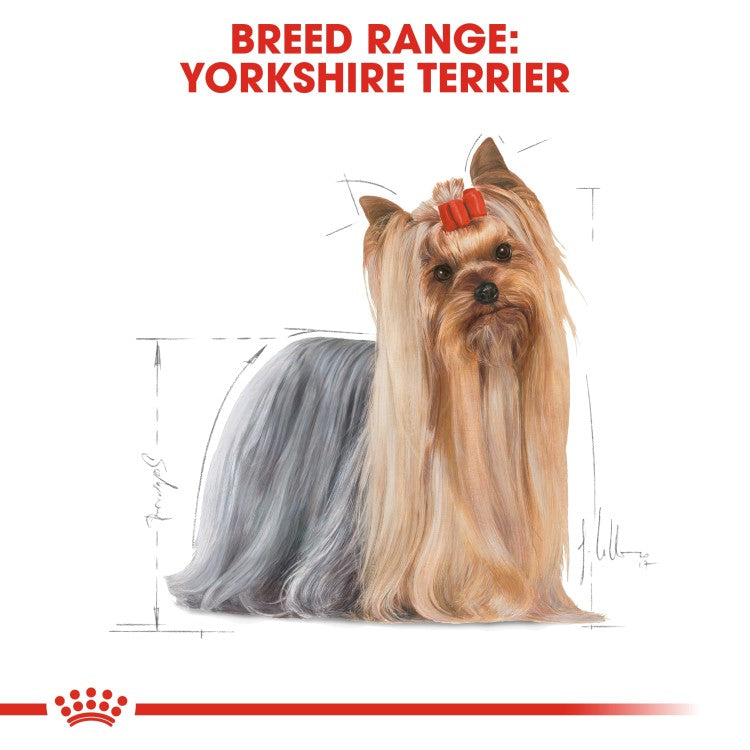 Royal Canin Breed Health Nutrition Yorkshire Adult - 1.5Kg