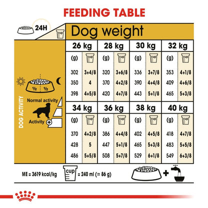 Royal Canin Adult Breed Health Nutrition Golden Retriever Dog Food Dry- 12 kg