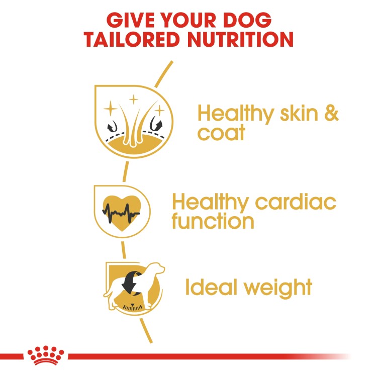 Royal Canin Adult Breed Health Nutrition Golden Retriever Dog Food Dry- 12 kg