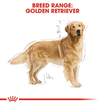 Royal Canin Adult Breed Health Nutrition Golden Retriever Dog Food Dry- 12 kg