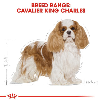 Royal Canin Adult Breed Health Nutrition Cavalier King Charles Dry Dog Food - 1.5Kg