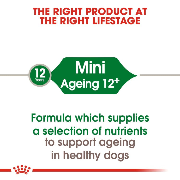 Royal Canin Mini Ageing 12+ Dry Dog Food - 1.5Kg