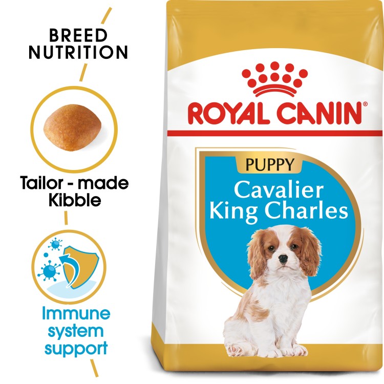 Royal Canin Puppy Breed Health Nutrition Cavalier King Charles Dry Dog Food - 1.5KG