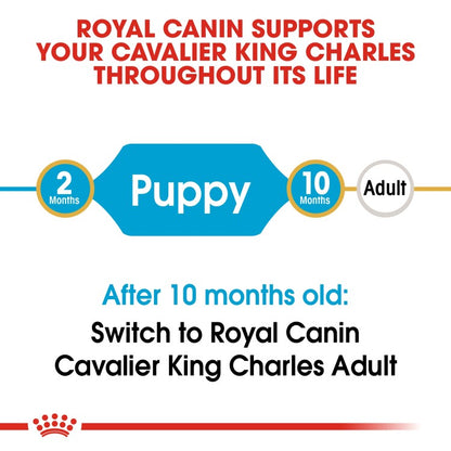 Royal Canin Puppy Breed Health Nutrition Cavalier King Charles Dry Dog Food - 1.5KG