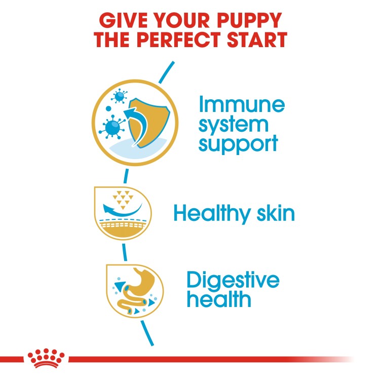 Royal Canin Breed Health Nutrition Pug Puppy - 1.5KG