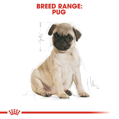 Royal Canin Breed Health Nutrition Pug Puppy - 1.5KG