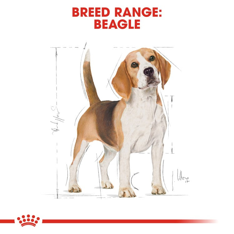 Breed Health Nutrition Beagle Adult Dry Dog Food - 3 KG