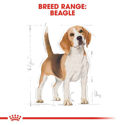 Breed Health Nutrition Beagle Adult Dry Dog Food - 3 KG