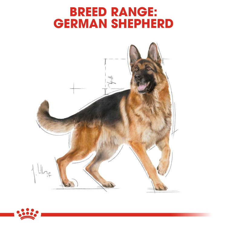 Royal Canin Adult German Shepherd Dog Food Dry - 11Kg