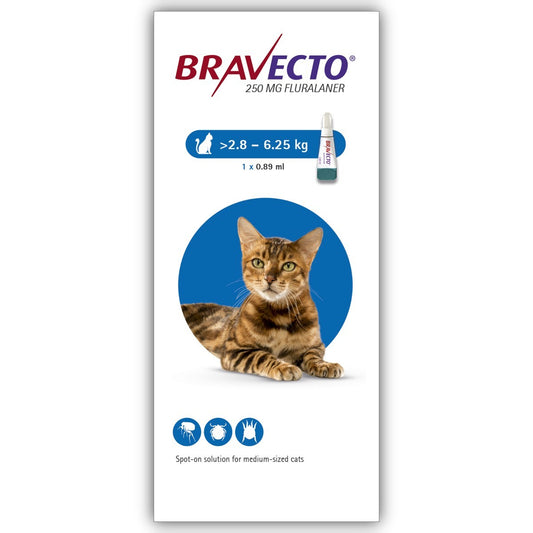 Bravecto Cat Spot On 250mg (2.8-6.25kg) -0.89 ML