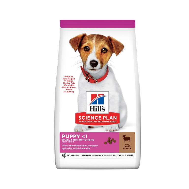 Hills Science Plan Small & Mini Puppy Dog Food Dry With Lamb & Rice