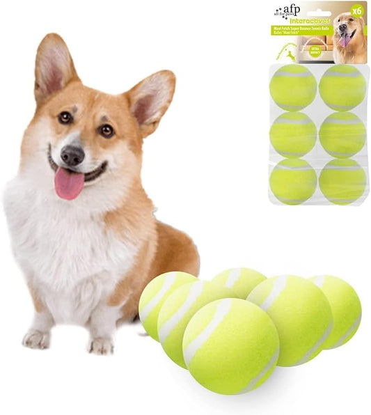 Interactive Hyper Fetch Tennis Balls- 6 pcs