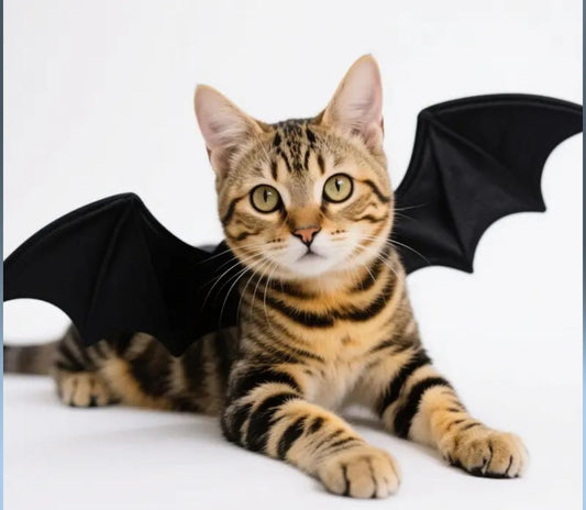 Pet Bat Wings Costume for Cats & Small Dogs