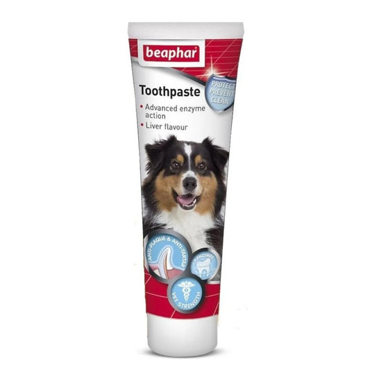 Toothpaste 100g