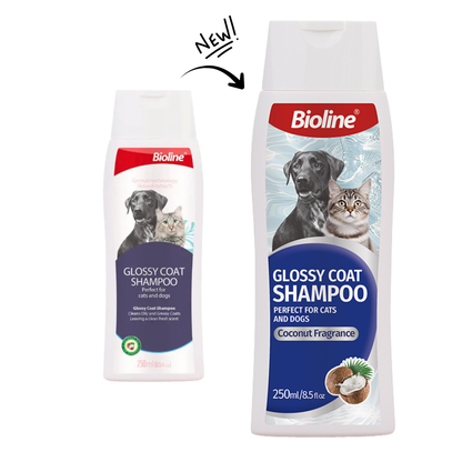 Bioline Glossy Coat Shampoo For Dogs And Cats in Coconut Fragrance - 250ml