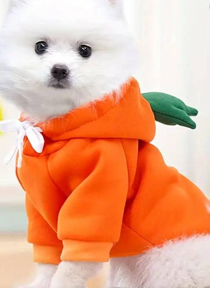 Fruit-Themed Pet Costume for Dogs and Cats