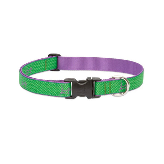LupinePet 1/2″ (Width) 8-12″(Neck) Adjustable Collar for Small Dogs – Augusta Green