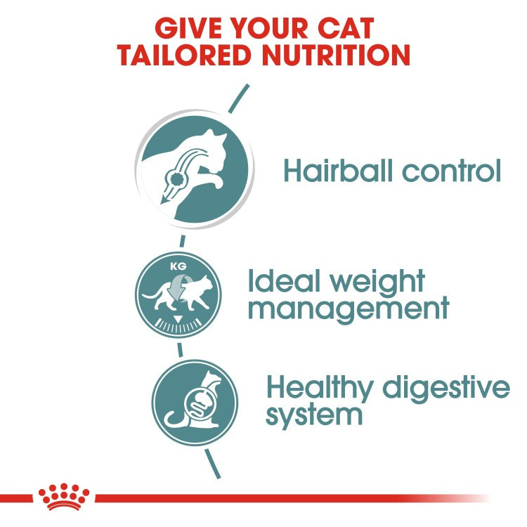 Royal Canin Hairball Care in Gravy Adult Wet Cat Food