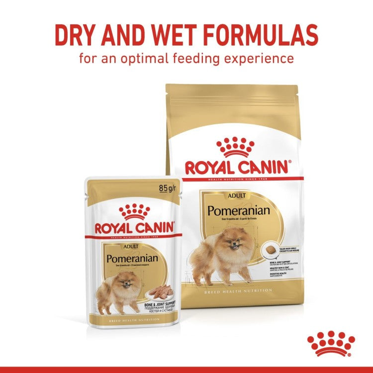 Royal canin pomeranian Adult food for dog 