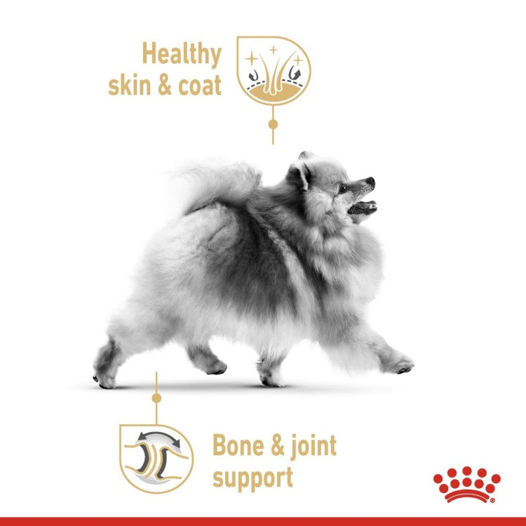 Pomeranian Adult Dry Dog Food