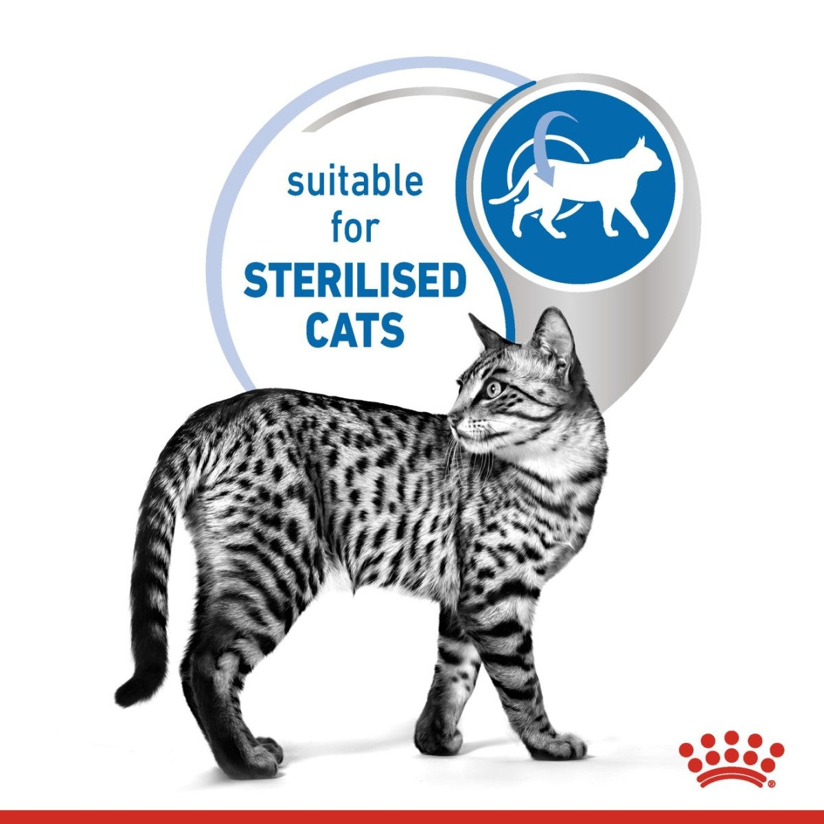 Royal Canin Indoor Sterilised in Gravy Wet Cat Food