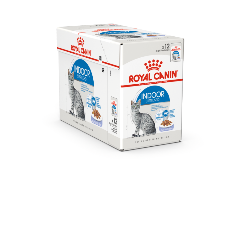 Royal Canin Indoor Sterilised in Jelly Cat Wet Food