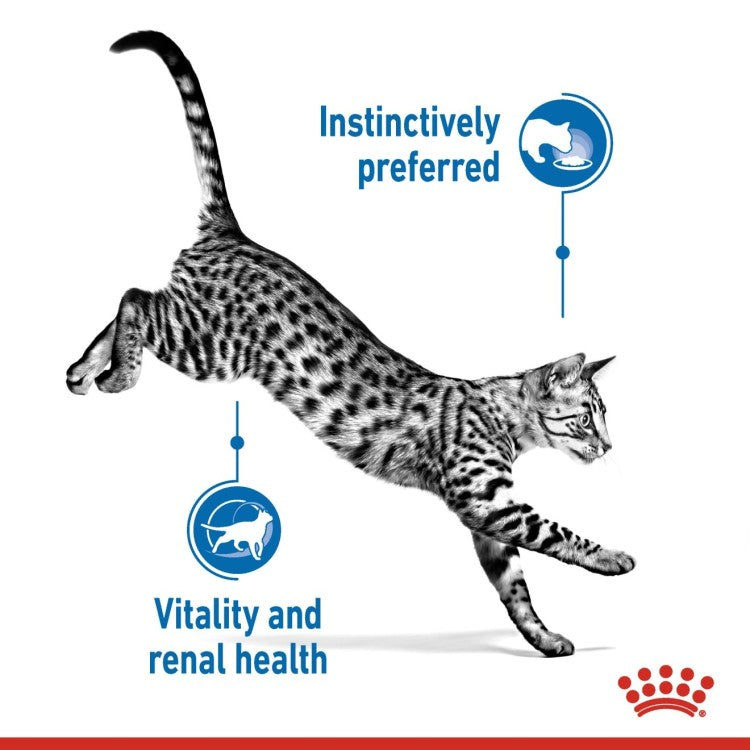 Royal Canin Indoor Sterilised 7+ in Gravy Cat Wet Food