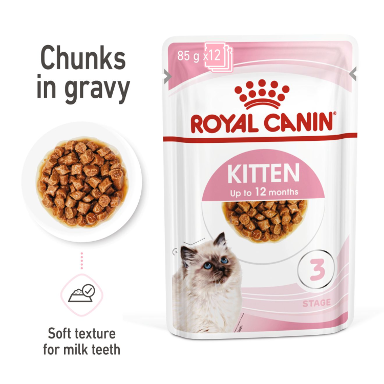 Royal Canin Feline Health Nutrition Kitten Gravy