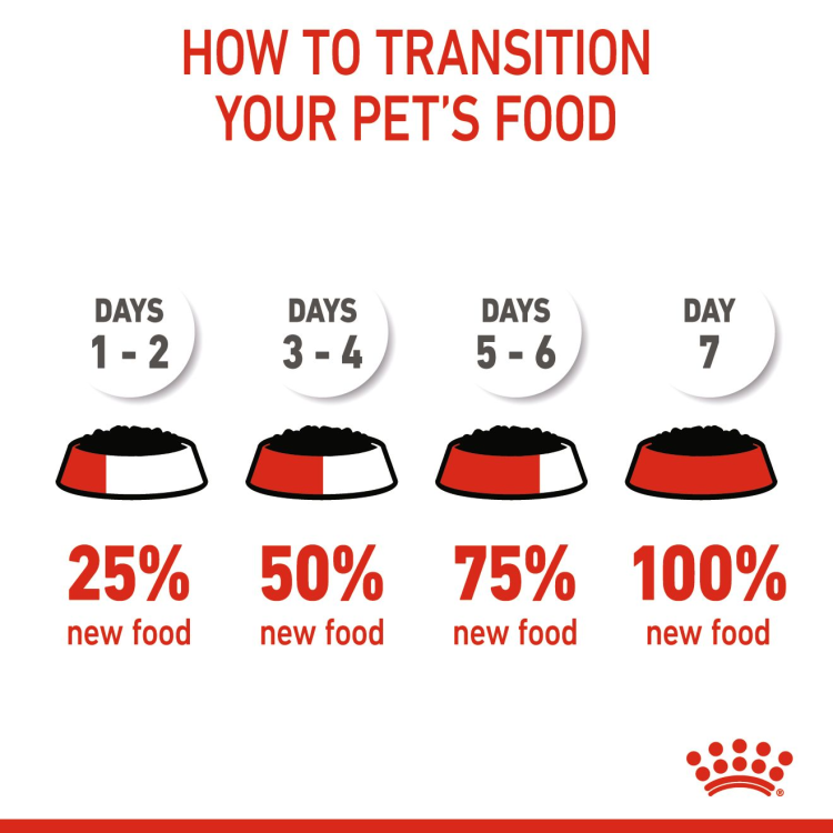 Royal Canin Feline Health Nutrition Kitten Gravy (WET FOOD - Pouches)