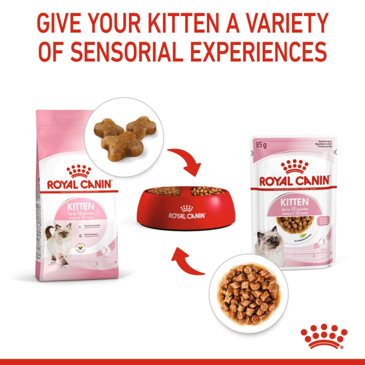 Royal Canin Feline Health Nutrition Kitten Gravy (WET FOOD - Pouches)