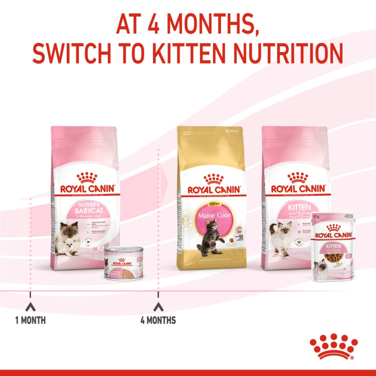 Royal Canin Mother & Babycat Mousse Cat Food Wet - 195G