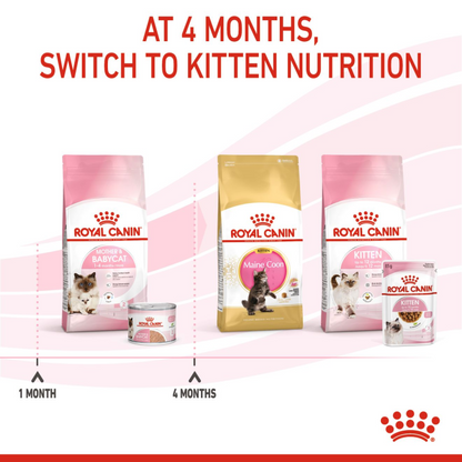 Royal Canin Mother & Babycat Mousse Cat Food Wet - 195G