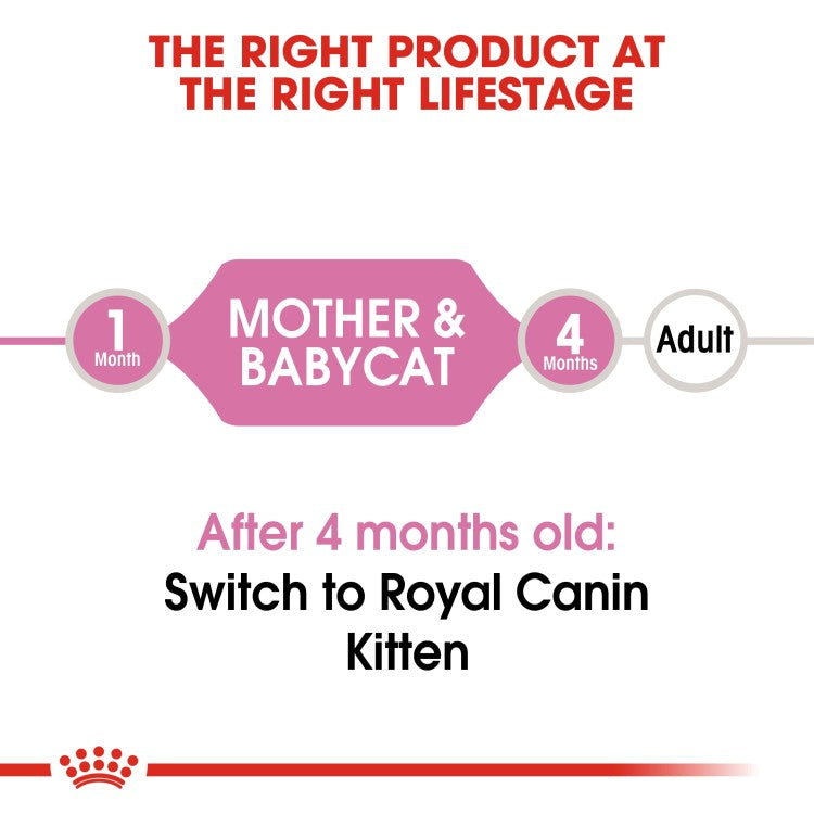 Royal Canin Mother & Babycat Mousse Cat Food Wet - 195G