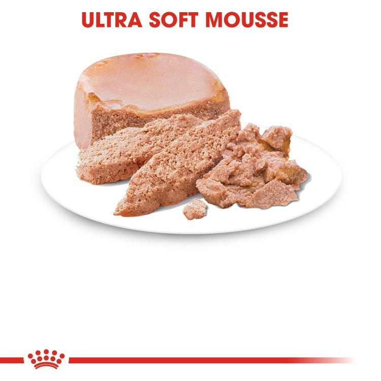 Royal Canin Mother & Babycat Mousse Cat Food Wet - 195G