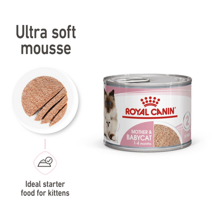 Royal Canin Mother & Babycat Mousse Cat Food Wet - 195G